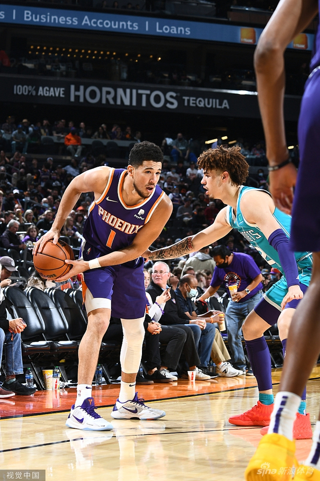 己抵达葡萄 己抵达葡萄